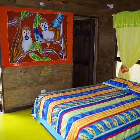 Wood House Hostel ラ・フォルトゥナ エクステリア 写真