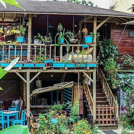 Wood House Hostel ラ・フォルトゥナ エクステリア 写真