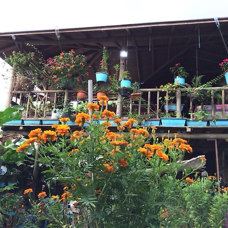 Wood House Hostel ラ・フォルトゥナ エクステリア 写真