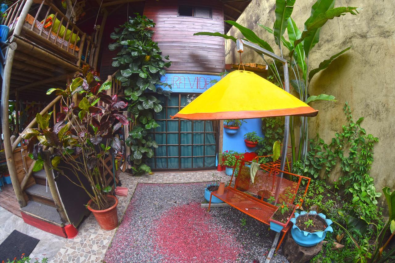 Wood House Hostel ラ・フォルトゥナ エクステリア 写真