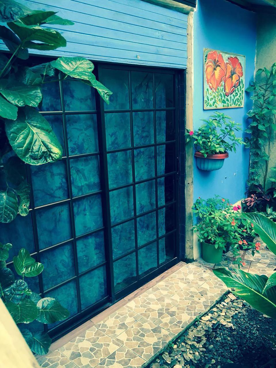 Wood House Hostel ラ・フォルトゥナ エクステリア 写真