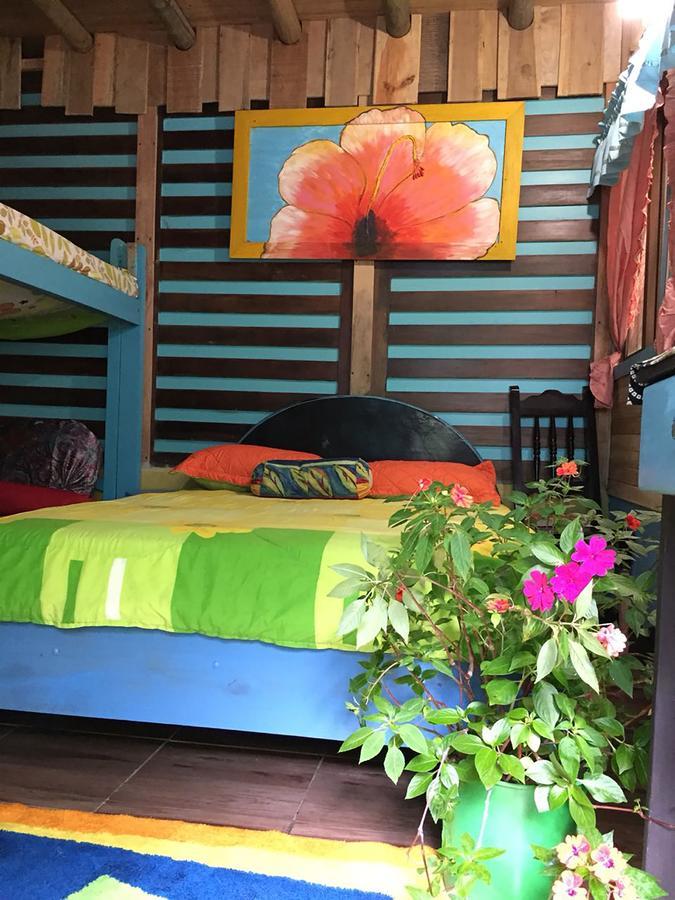 Wood House Hostel ラ・フォルトゥナ エクステリア 写真