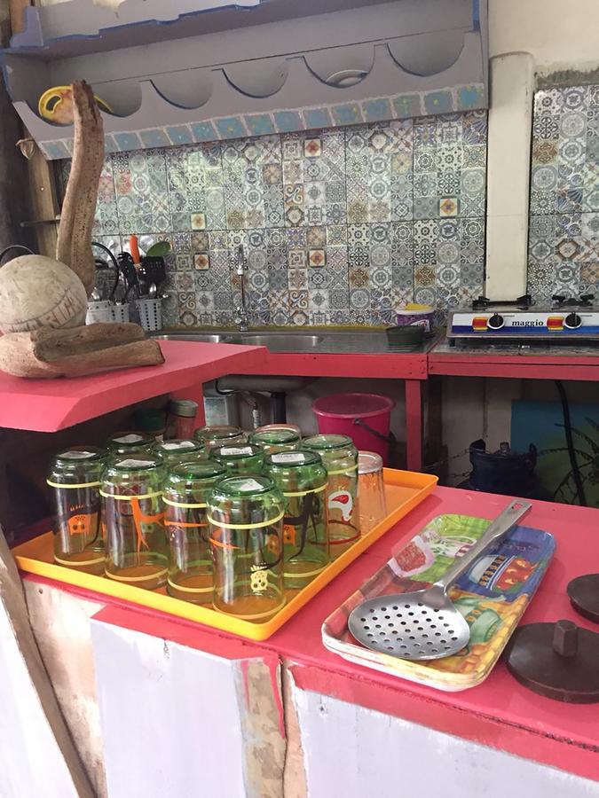 Wood House Hostel ラ・フォルトゥナ エクステリア 写真