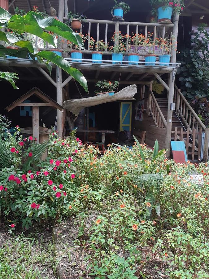 Wood House Hostel ラ・フォルトゥナ エクステリア 写真