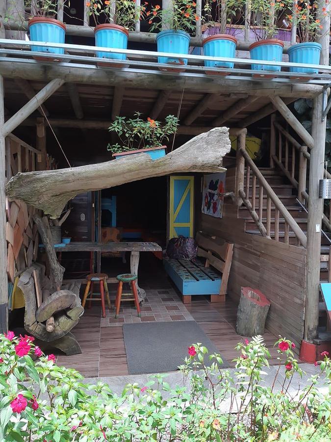 Wood House Hostel ラ・フォルトゥナ エクステリア 写真