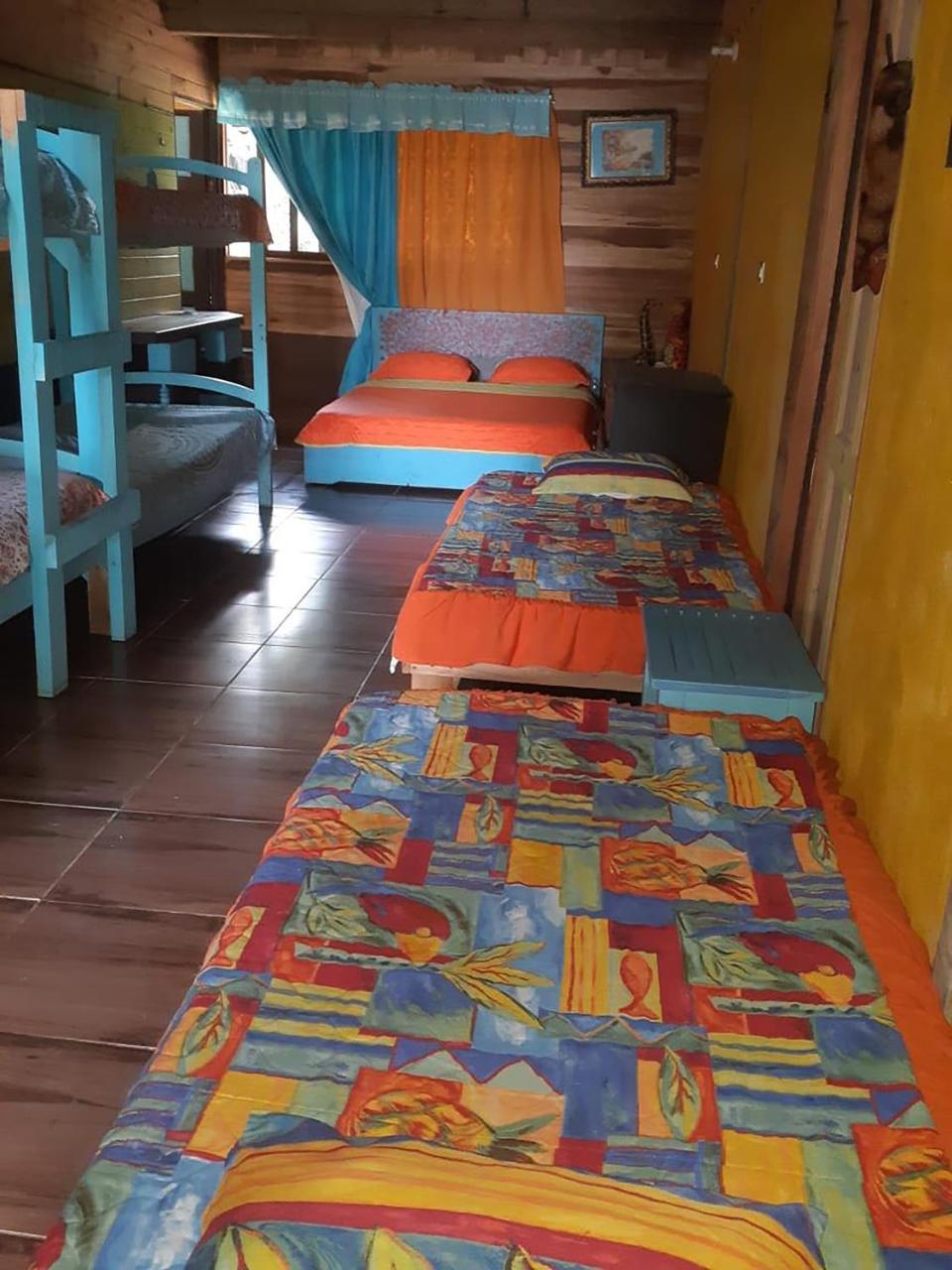 Wood House Hostel ラ・フォルトゥナ エクステリア 写真