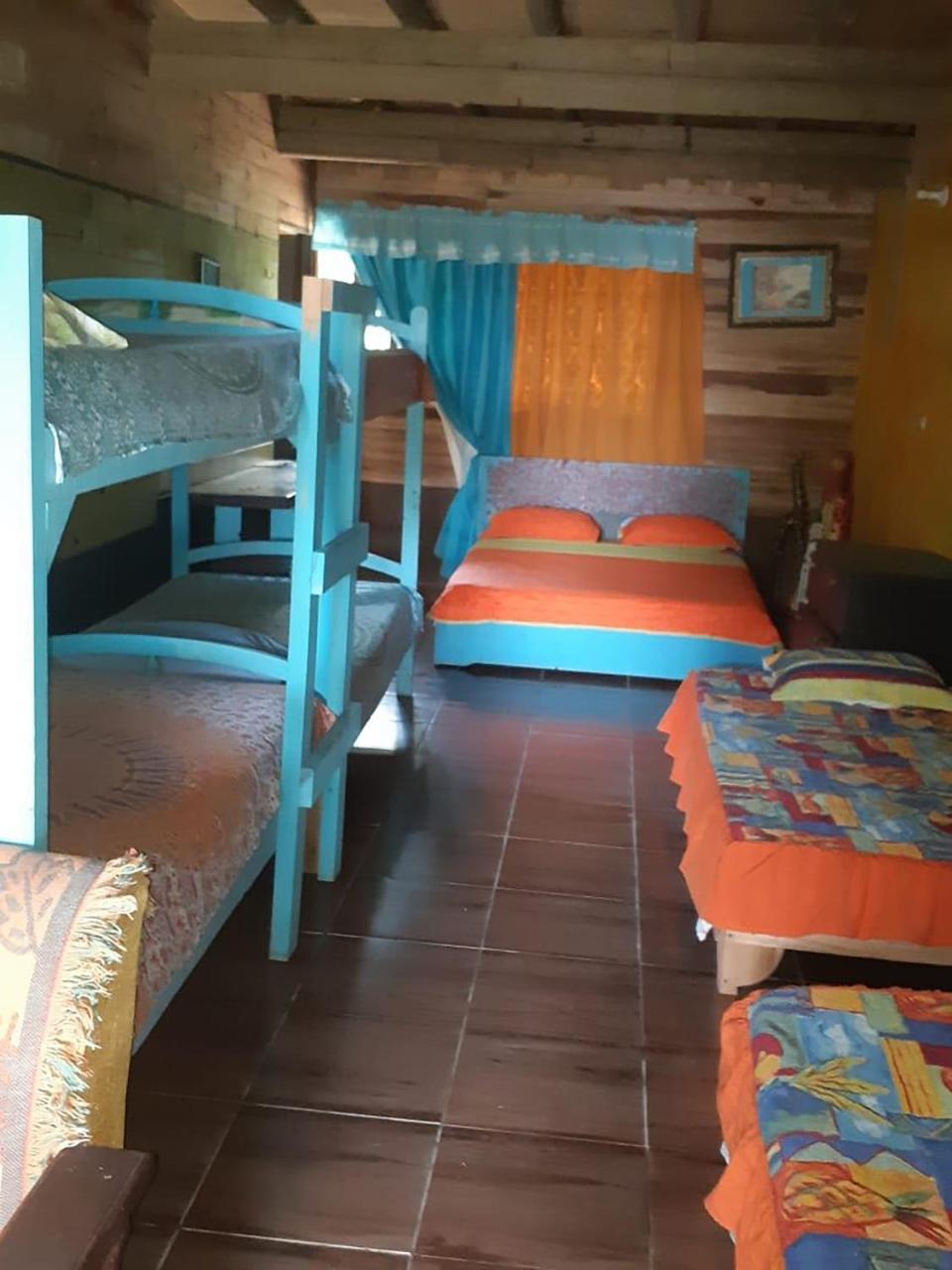 Wood House Hostel ラ・フォルトゥナ エクステリア 写真